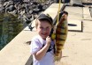 Fishing at Port Henry Dock